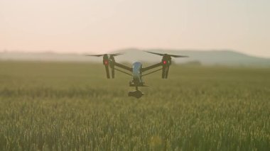 İnsansız hava aracı tarımda kırsal alanda uçuyor. Hava helikopteri. Çiftlik arazisi. Hasat et. Yenilik. Yeni teknoloji. Bitki örtüsü. Yavaş çekim