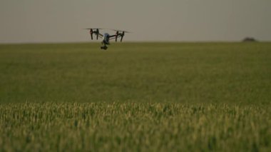 Ziraat kırsalında uçan yavaş çekim dronu. Hava helikopteri. Çiftlik arazisi. Hasat et. Yenilik. Yeni teknoloji. Bitki örtüsü. Yavaş çekim