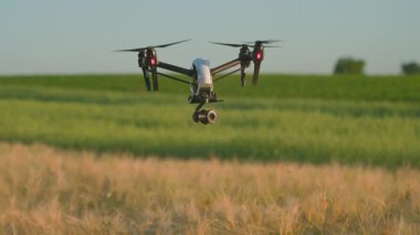 Kırsal hava helikopterindeki İHA görüntüsü. Çiftlik arazisi. Hasat et. Yenilik. Yeni teknoloji. Bitki örtüsü. Yavaş çekim