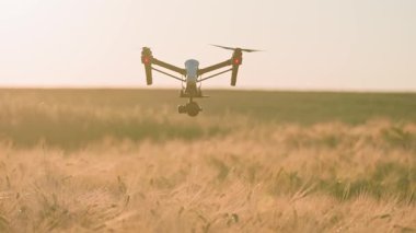 Kırsal havadan helikopterle uçan insansız hava aracı. Çiftlik arazisi. Hasat et. Yenilik. Yeni teknoloji. Bitki örtüsü. Yavaş çekim