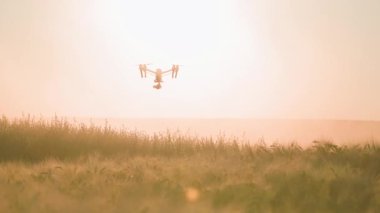 Gökyüzünde uçan tarımsal drone 'un etrafındaki güneş ışığı. Kırsal hava helikopteri. Çiftlik arazisi. Hasat et. Yenilik. Yeni teknoloji. Gün batımı. Bitki örtüsü. Yavaş çekim