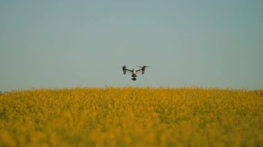 Gökyüzü ve tarlanın güzel manzarası. Gökyüzünde, kırsal hava helikopteriyle uçan tarımsal İHA 'yı kapatın. Çiftçilik. Hasat et. Yenilik. Yeni teknoloji. Bitki örtüsü