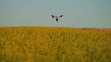 Kırsal hava helikopterinde uçan tarım insansız hava aracı görüntüsü. Çiftlik arazisi. Hasat et. Yenilik. Yeni teknoloji. Bitki örtüsü