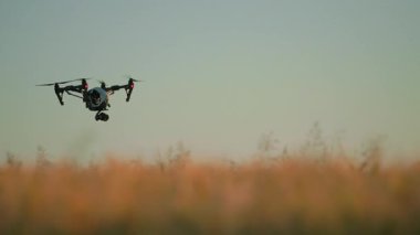 Kırsal hava helikopterinde uçan tarım insansız hava aracı görüntüsü. Çiftlik arazisi. Hasat et. Yenilik. Yeni teknoloji. Bitki örtüsü