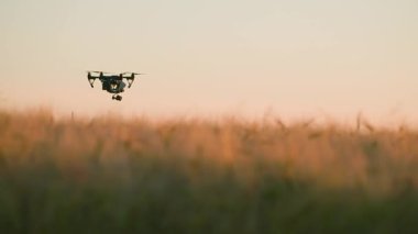 Gün batımında kırsal havadan helikopterle uçan tarım uçağı. Çiftlik arazisi. Hasat et. Yenilik. Yeni teknoloji. Bitki örtüsü. Yavaş çekim