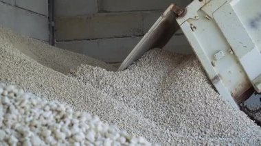 Kum işleme tesisinde boşaltım yapan çöp kamyonunun görüntüsü. İnşaat malzemeleri. Maden makineleri, açık çukur. Üretim. Açık havada. Ulaşım, mühendislik, araç, ağır