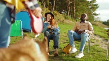 Hipster arkadaşlar doğada parti veriyorlar. Dört genç, köpekle gülümseyen birine sarılır. Tatil turizmi macerası. Yavaş çekim