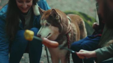 Aile, sonbahar akşamı ormanda kamp ateşinin etrafında oturur. Ormandaki bir yangında sosis kızartmak. Dostluk mutluluğu şömineyi pişirir. Kapatın. Yavaş çekim