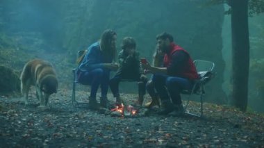 Köpekli bir aile, sonbahar akşamı ormanda kamp ateşinin etrafında oturur. Gülümseyerek telefonu kullan. Arkadaşlık şömineyi pişirir. Kapatın. Yavaş çekim