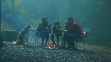 Akşamları köpeklerle birlikte ormanda sonbaharda kamp ateşinin etrafında otururlar. Ormandaki bir yangında sosis kızartmak. Arkadaşlık şömineyi pişirir. Kapatın. Yavaş çekim