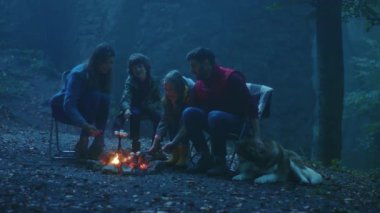 Sonbahar akşamı köpekli portre ailesi kamp ateşinin etrafında oturur. Ormanda ateşte marşmelov kızartıyorum. Sohbet şenlik ateşi turizm dostluk gecesi. Yavaş çekim