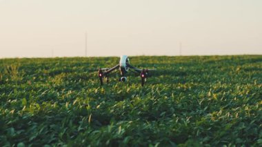 Gökyüzünde uçan akıllı tarım aracı. Kırsal havadan helikopterle tarımsal tarım çiftliği. Saha arazisi.