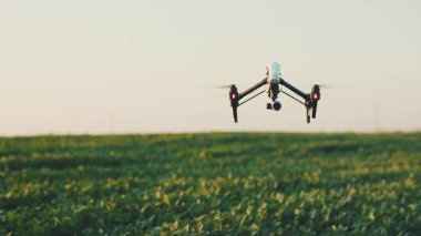 Gökyüzünde uçan akıllı tarım aracı. Kırsal havadan helikopterle tarımsal tarım çiftliği çiftliği arazisi. Çayırlık arazi.