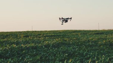Gökyüzünde uçan akıllı tarım dronu kırsal havadan helikopterle tarım helikopterleri tarım çiftliği arazisi çayırlık arazi fabrikası profesyonel araç hasat inovasyonu yavaş çekim
