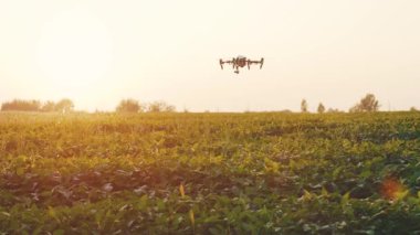 Güzel günbatımı akıllı tarım dronu gökyüzünde uçuyor kırsal havadan helikopterle tarım çiftliği tarım sanayii çayırı doğası uçak hasat inovasyonu yavaş çekim