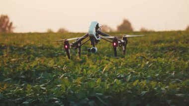 Gökyüzünde uçan akıllı tarım aracı. Kırsal havadan helikopterle tarımsal tarım çiftliği çiftliği arazisi. Çayırlık arazi.