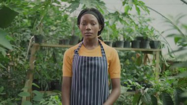 Serada önlük giyen, kollarını kavuşturup kameraya poz veren Afro-Amerikan profesyonel kadın çalışanın portresi. Tarım. Organik gıda ekimi.