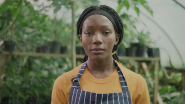 Çizgili önlük giyen ve seranın içinde çalışan Afro-Amerikan genç bayan işçi. Parlak ışıklı ekolojik çiftlik ve organik sebzeler. Portreler.