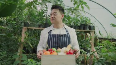 Neşeli genç ve başarılı çiftçi adam meyve ve sebzeleri sepete koyuyor. Neşeli Asyalı çiftlik işçisi serada çalışıyor.