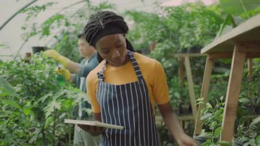Çekici genç bir kadın seranın içinde iş birliği yapıyor. Afrika kökenli Amerikalı kadın ve Asyalı erkek işçiler modern sera çiftliğinde bitkilerle ilgileniyorlar..