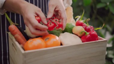 Çizgili önlüklü çiftçi taze meyve ve organik sebzeleri alıp sepete koyuyor, seranın içinde çalışıyor. Çiftlikte çalışan bir işçi. Organik tarım işi..