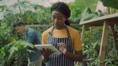 Genç profesyonel kadın çiftçi tablet bilgisayar kullanıyor, tarım sistemini kontrol ediyor ve çağdaş serada işbirliği yapıyor. Takım çalışması. Çoklu Etnik.