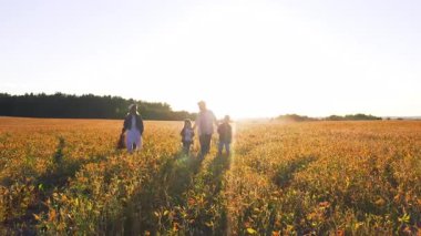 Mutlu bir grup Kafkasyalı ebeveyn ve iki harika kardeş buğday tarlasında yürüyor ve kırsal kesimde eğlenceli maceralar yaşıyor..