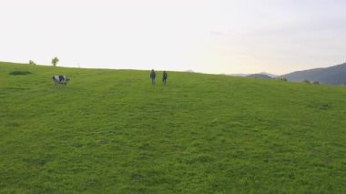 Yeşil ormanlar ve günışığı arka planıyla güzel dağlarda yürüyüş yapan genç çiftler üzerinde yapılan hava uçuşları. Seyahat tutkusu. Macera. Yaz gezisi.