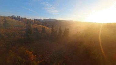 Resimli kırsal bölgelerde, vahşi ormanlarda ve yeşil geniş çayırlarda FPV insansız hava aracı uçuşu. Sisli gün doğumu. Çok güzel bir manzara. Seyahat ilhamı.