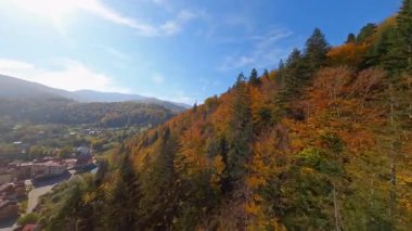 Sinema için ilham verici FPV manzaralı sakin dağ manzaralı orman ve kırsal alan. Yolculuk. Özgürlük uçuşu.