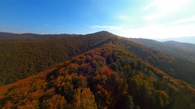 FPV orman görüntüleri. Uçuşun üzerinde güzel turuncu renkli ağaçlar ve dağlar. Seyahat güzergahı. Manzara.
