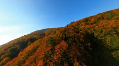FPV, güzel dağ ormanları üzerinde uçuyor. Ağaçların rengarenk manzarası sonbahar doğasını terk ediyor. Seyahat et. Özgürlük için. Özellikler.