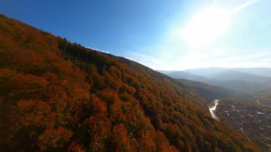 Güneşli bir günde sinematik dağların FPV uçuş görüntüleri. Renkli Ekim Ormanı Vahşi Orman Tepesi manzarası.