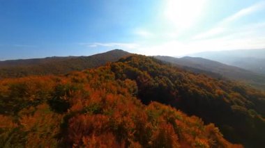 Havadan renkli ağaçların ve dağ tepelerinin manzarası. Güzel bir ortam, doğal bir manzara. FPV İHA.