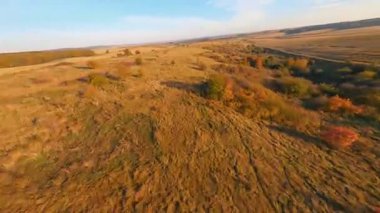 Güzel kırsal alanların, geniş portakal çayırlarının ve tarımsal buğday tarlalarının üzerinde uçan FPV uçuşu. Doğayı keşfet. Seyahat kavramı.