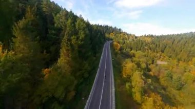 Doğada manevra kabiliyeti olan FPV uçuşu. Vahşi ormanın havadan manzarası, renkli ağaçlar ve parlak mavi gökyüzü. Otobanda bisiklet sürüyor. Hava saldırısı..