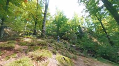 Yoğun ve güzel yaz ormanı ortamında uçarken çekilmiş FPV videosu. Yeşil ahşap ve pürüzsüz taşlar. İdealist doğası. Yaz yürüyüşü.