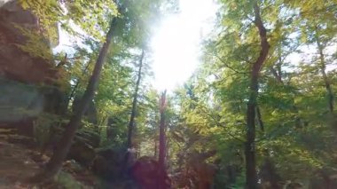 Orman doğasında güzel bir günlük gezi. Parlayan güneş ışınları ile sinematik büyülü orman ortamı. Gün doğumu gökyüzü. Hava İHA FPV uçuşu.