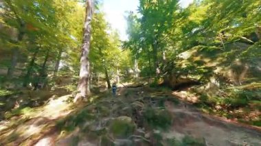 Drone, genç bir erkek yolcunun ormanda yürüyüşünü gösteriyor. Rocky arazisi vahşi orman yeşil yaz manzarası. Muhteşem büyük kayalar. Tırmanma aktivitesi. FPV İHA.