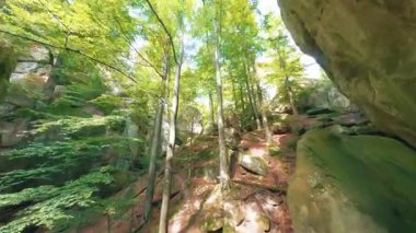 Derin orman FPV İHA uçuşu. Yoğun, güzel, yeşil orman ormanlarında büyük, sinematik kayalarla uçuyor. Saf doğa. Yalnız gezen erkek turist. Seyahat et. Yolculuk.