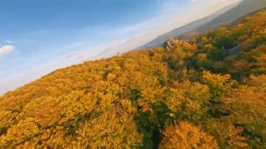 Havadan gelen FPV, manzara üzerinde ilham verici uçuşlar, sonbahar renkli ağaç tepeleri derin vahşi ormanlar ve muhteşem kayalar. Dovbush harika. Ukrayna seyahati.