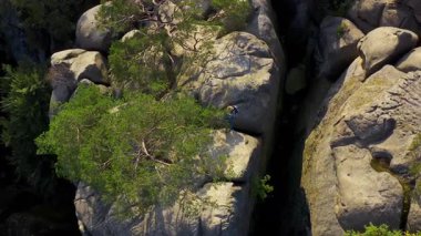 Genç aktif yürüyüşçülerin tepeden aşağı çekimleri. Aile, kayalara tırmanıyor. Birlikte vahşi doğayı keşfediyorlar. Takım çalışması. Yürüyüş. Macera konsepti.