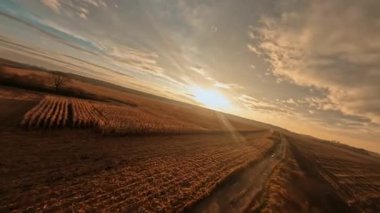 Kırsal kesimin sinematik klibi. Gün batımının muhteşem güneşi tarım buğday tarlalarının üzerinde yükseliyor. Tarım. Hava FPV İHA uçuşu.