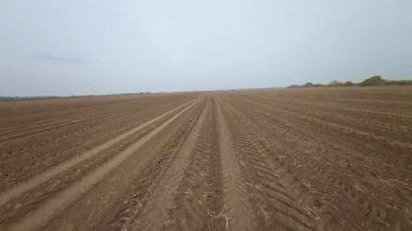 Tarım arazisi. Büyük kırsal buğday tarlasının makineli FPV hareket videosu. Sinema klibi. Tarım sektörü kavramı.