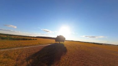 Çarpıcı kırsal alan üzerinde uçan FPV uçuşu. Baba ve oğlunun rüzgarlı bir günde uçurtma oynamalarını kuşbakışı izlemek. Resimli bir alan ve tek bir ağaç.