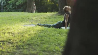 Park yerinde yoga yapan hayranlık uyandıran bir genç kızı vurmak. Basit bir poz. Zihin ve beden. Uyum. Stres giderici. Yaz zamanı. Açık havada..