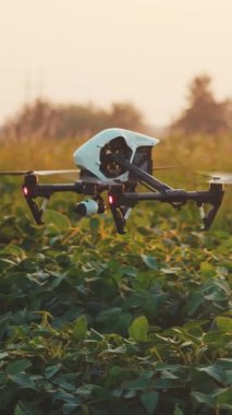 Havadan bakıldığında geniş bir yeşil bitki tarlasında süzülen bir dron görülüyor. Sahne gün ışığından günbatımına kayıyor, doğal güzellikler sergiliyor.