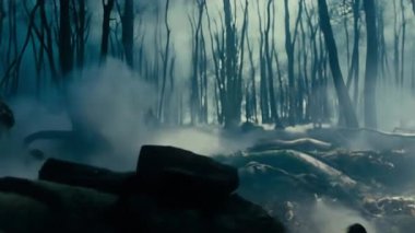 Bu videoda, gizemli bir sis ormanı kaplıyor ve ürkütücü bir ortam yaratıyor. Sisin arasında bir grup duruyor, entrika ve meraka davetiye çıkarıyor.