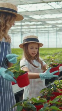 Güneşli bir seraya renkli çiçekler eken bir anne ve kız arasında paylaşılan neşeli bir an.