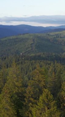 Berrak mavi gökyüzünün altında yoğun yeşil ormanlarla kaplanmış yuvarlanan tepelerin nefes kesici manzarası.